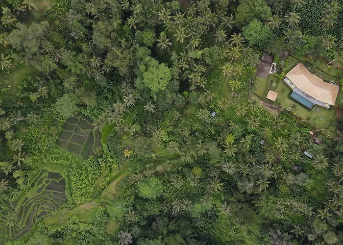 Themma Jungle - Sumptuous 3br Luxury With Majestic Jungle View In North Of Ubud