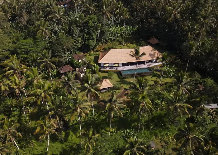 Themma Jungle - Sumptuous 3br Luxury With Majestic Jungle View In North Of Villa Ubud