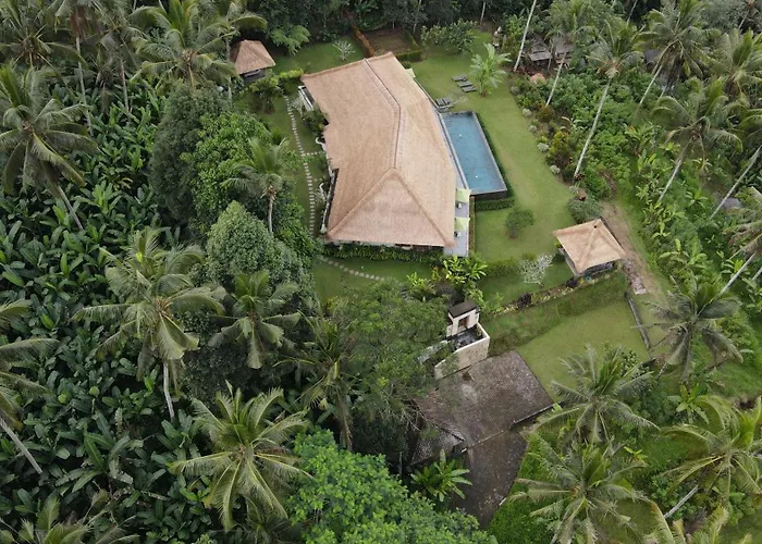 Themma Jungle - Sumptuous 3br Luxury With Majestic Jungle View In North Of Villa