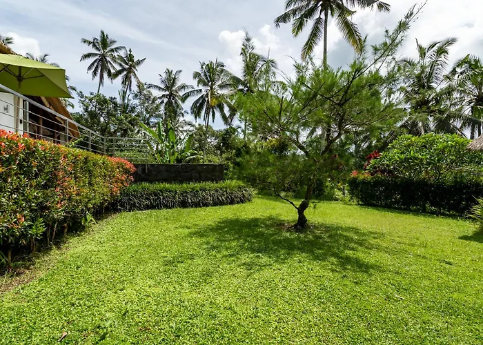 Themma Jungle - Sumptuous 3br Luxury With Majestic Jungle View In North Of Villa